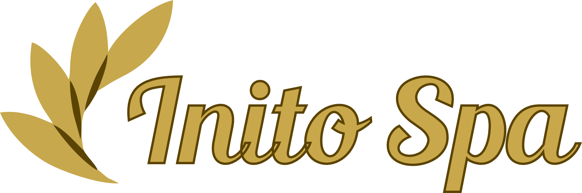 Logo de Inito Spa
